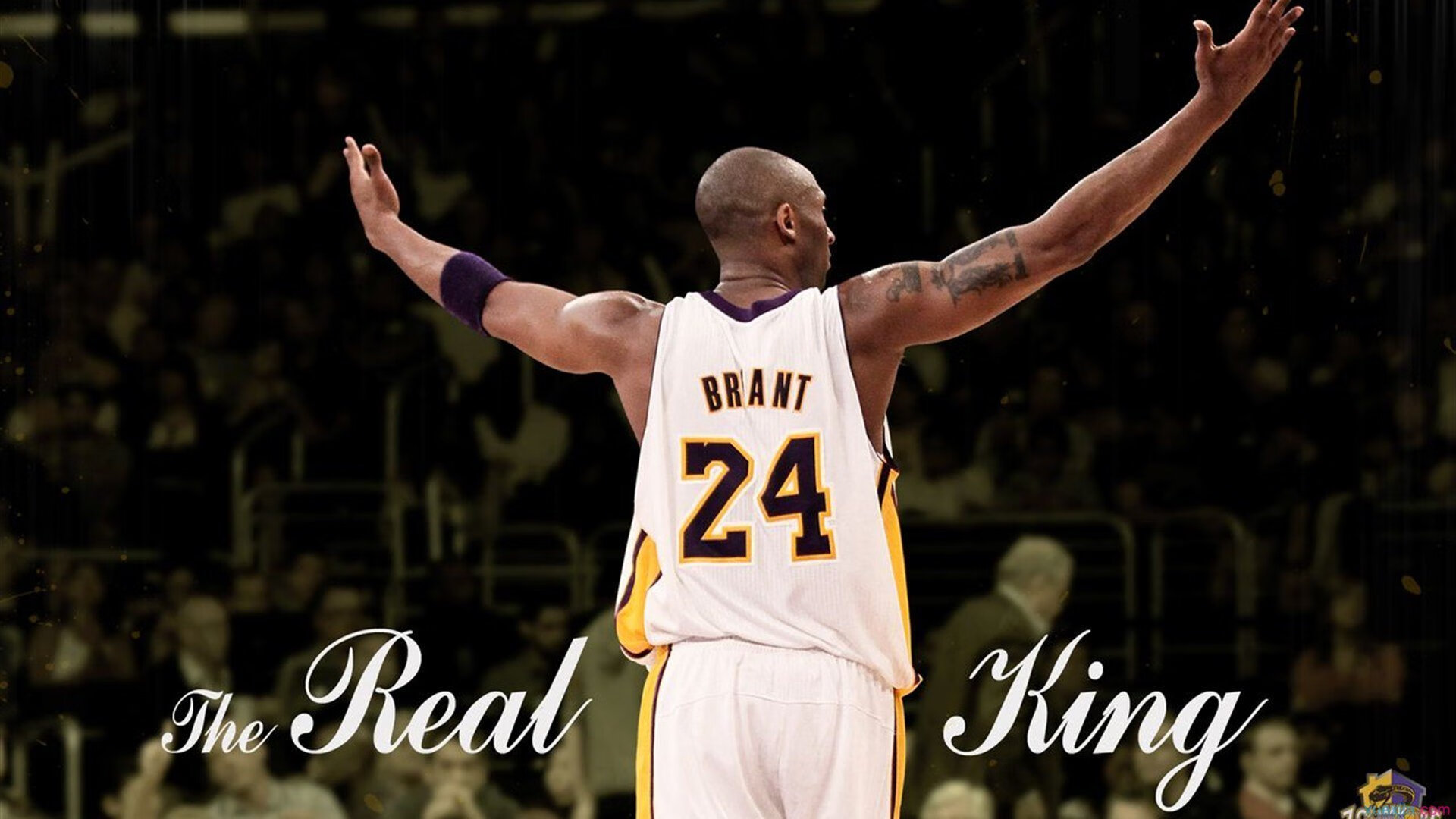 开云网页版登录入口-移动电竞成为主流，手游赛事备受关注，移动电竞平台